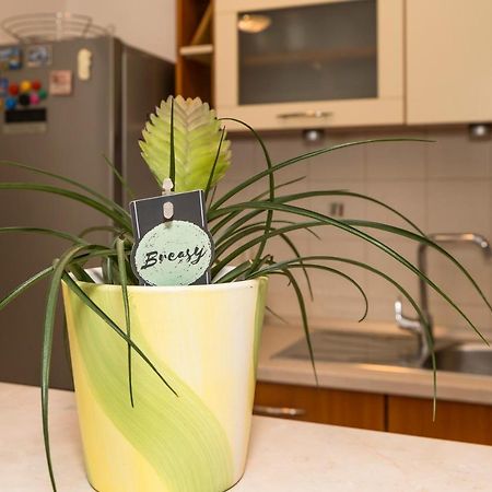 Luxury 1 Bedroom App Center&Balcony Free Parking Split Zewnętrze zdjęcie